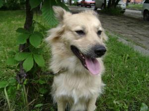 Прикачена снимка