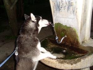 Прикачена снимка