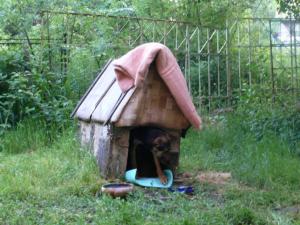 Прикачена снимка