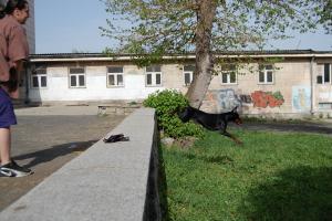 Прикачена снимка