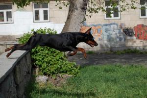 Прикачена снимка
