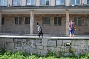 Прикачена снимка