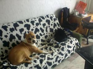 Прикачена снимка