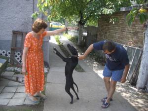 Прикачена снимка