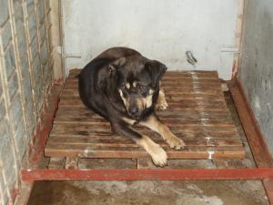 Прикачена снимка