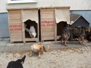 Прикачена снимка