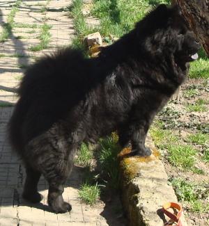 Прикачена снимка