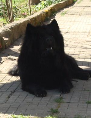 Прикачена снимка