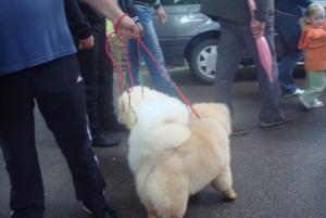 Прикачена снимка