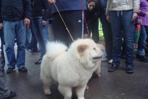 Прикачена снимка