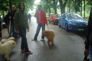 Прикачена снимка