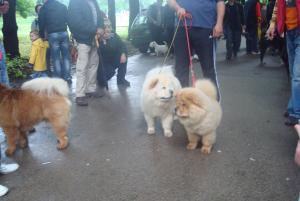 Прикачена снимка