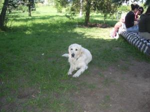 Прикачена снимка