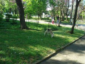 Прикачена снимка
