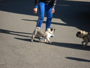 Прикачена снимка