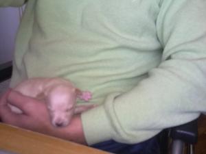 Прикачена снимка