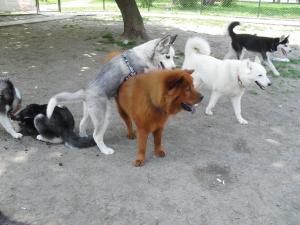 Прикачена снимка
