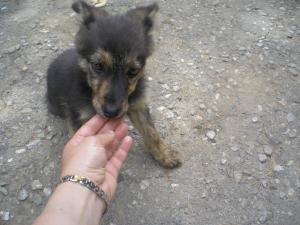 Прикачена снимка