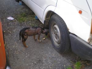 Прикачена снимка