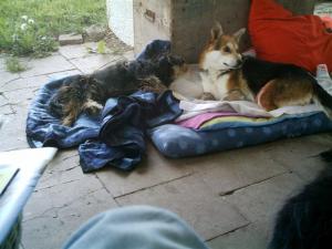 Прикачена снимка