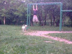 Прикачена снимка