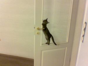 Прикачена снимка
