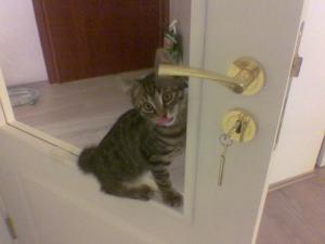 Прикачена снимка