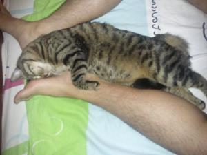 Прикачена снимка