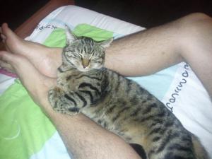 Прикачена снимка