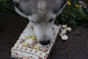 Прикачена снимка