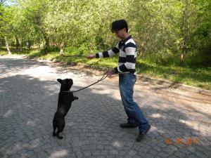 Прикачена снимка