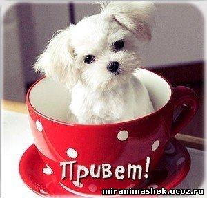 Прикачена снимка