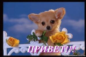 Прикачена снимка