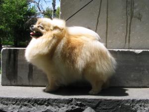 Прикачена снимка