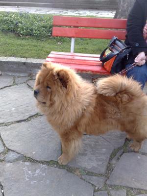 Прикачена снимка