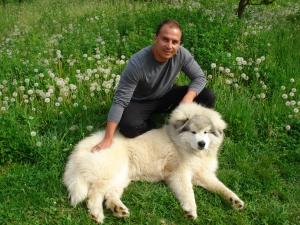 Прикачена снимка