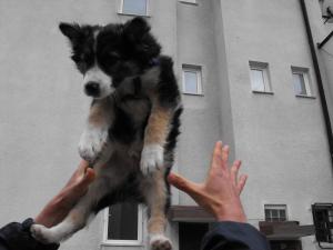 Прикачена снимка