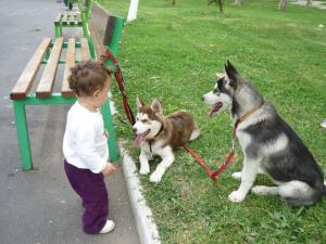 Прикачена снимка