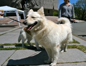 Прикачена снимка