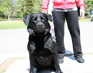 Прикачена снимка