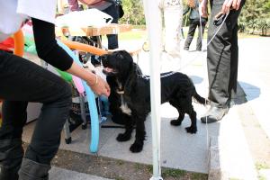 Прикачена снимка