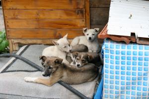 Прикачена снимка