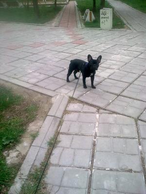 Прикачена снимка