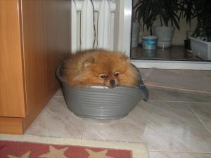 Прикачена снимка