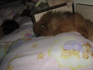Прикачена снимка