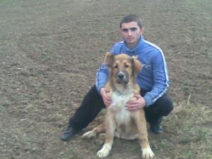 Прикачена снимка