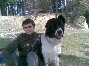 Прикачена снимка
