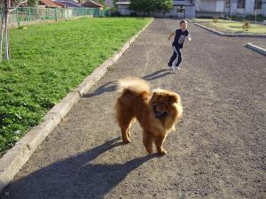 Прикачена снимка