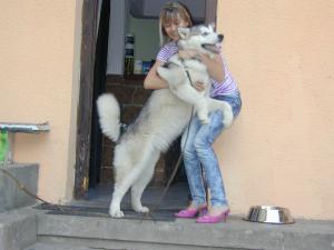 Прикачена снимка