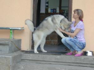 Прикачена снимка